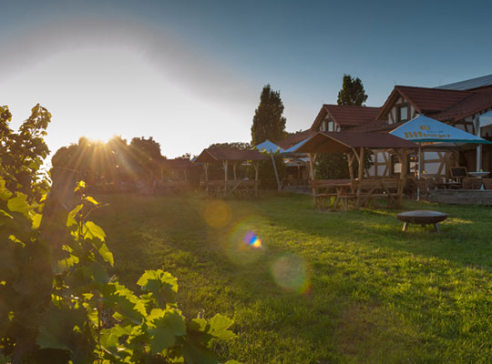 Musical Dinner im reizvollen Ambiente der Weinstube Amalienhof